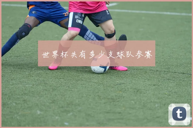 世界杯共有多少支球队参赛