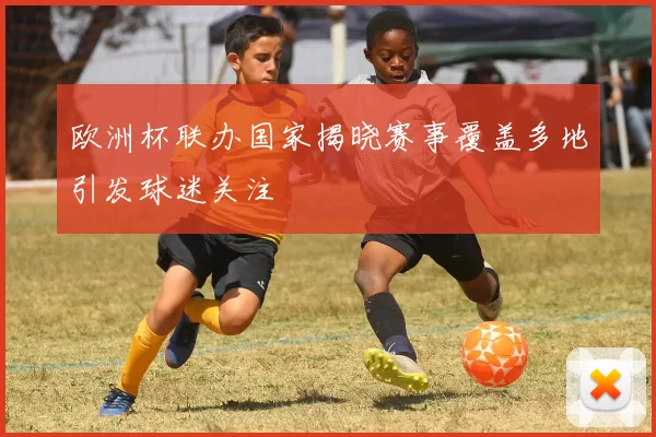 欧洲杯联办国家揭晓赛事覆盖多地引发球迷关注