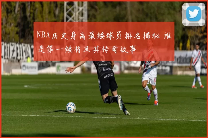 NBA历史身高最矮球员排名揭秘 谁是第一矮将及其传奇故事