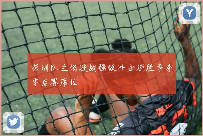 深圳队主场迎战强敌冲击连胜争夺季后赛席位