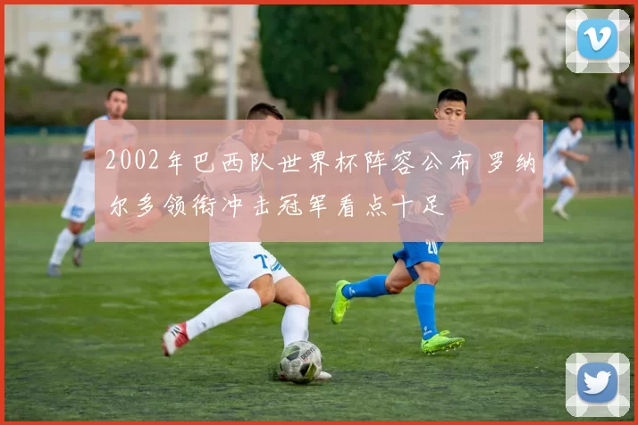 2002年巴西队世界杯阵容公布 罗纳尔多领衔冲击冠军看点十足