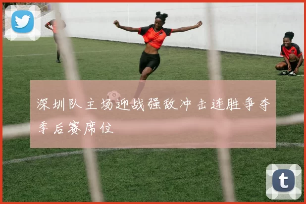 深圳队主场迎战强敌冲击连胜争夺季后赛席位