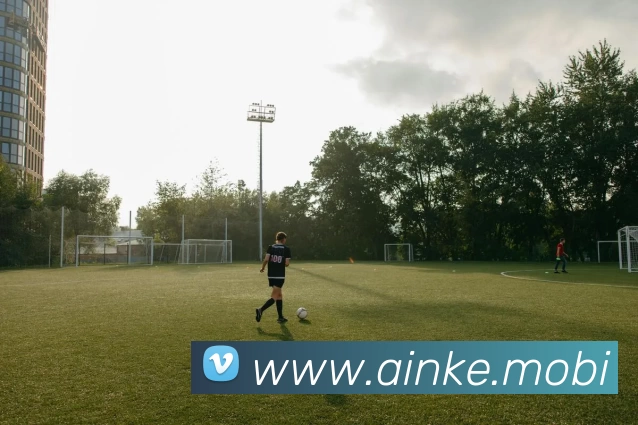 开云·kaiyun体育(中国大陆)官方网站 登录入口APP 封面图